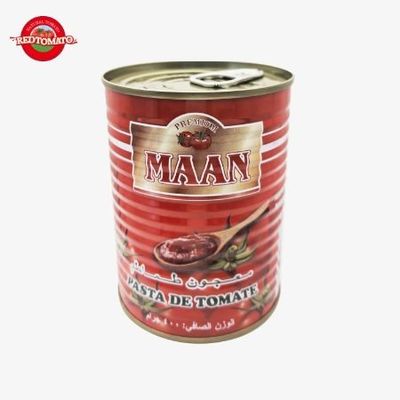 800g Double Concentrate Tomato Paste Brix22-24% Merek yang dapat disesuaikan Tersedia