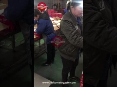 Pasta tomat kaleng Kontrol kualitas di jalur