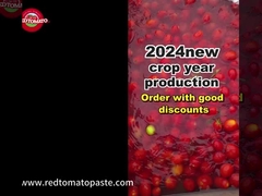 Sampel pasta tomat drum