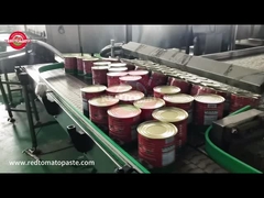 Pasta Tomat Kalengan MAKAO